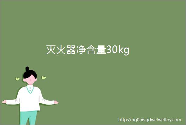 灭火器净含量30kg